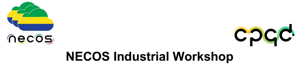 NECOS Industrial Workshop
